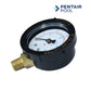 Pentair Pool Pressure Gauge for filtration systems by Discount Pool Mart DPM, accurate readings for optimal performance.