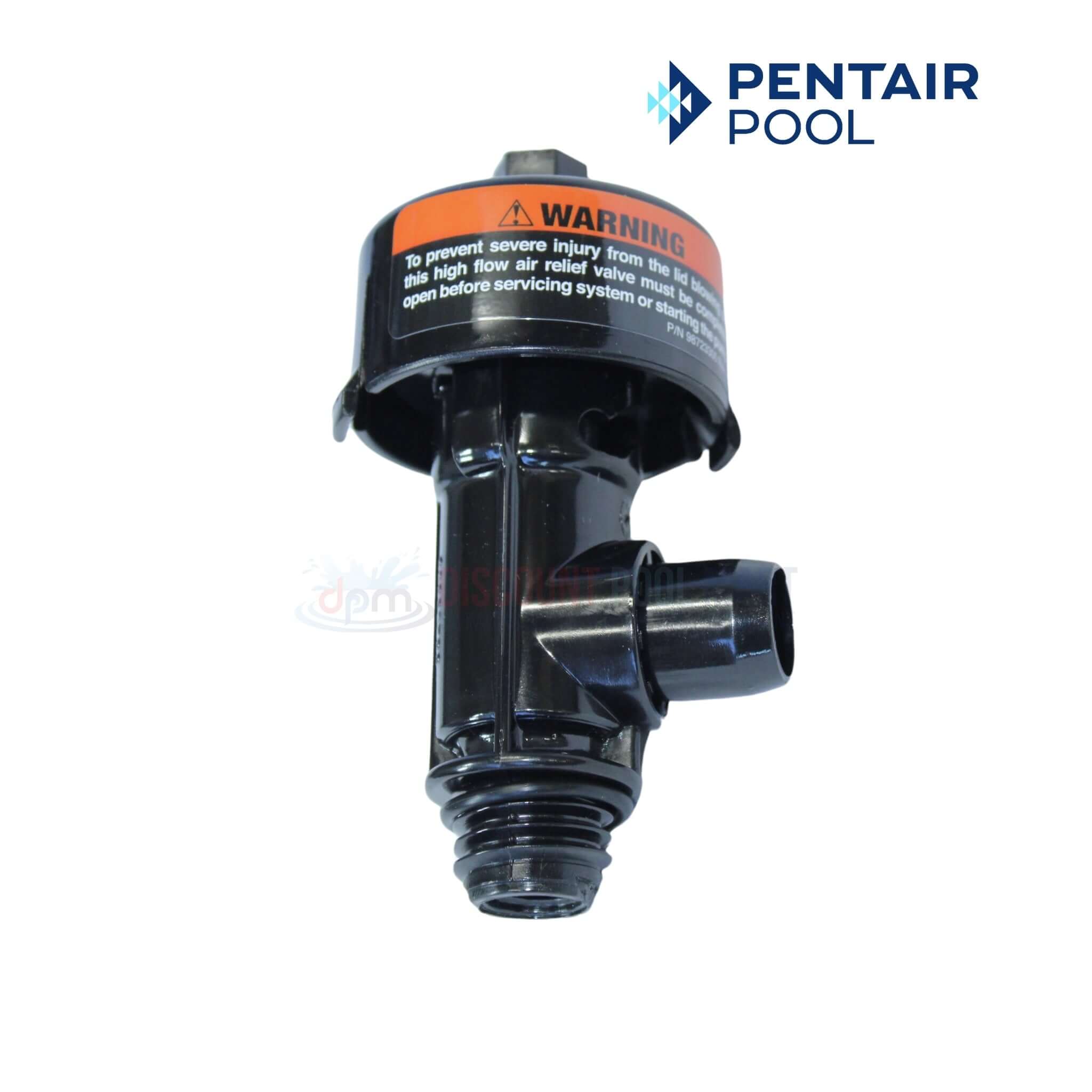 197137 | Pentair SM & SMBW 4060 Filters Tank Lid