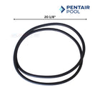 Pentair Tank O-Ring For Quad DE FNS Plus and Clean and Clear Plus Filters | 39010200