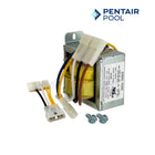 Pentair Transformer with Dual & Single Adapter For MasterTemp and Max-E-Therm Heaters | 120V/240V | 42001-0057S