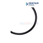 Pentair Trap Cover Lid O-Ring 35505-1440 for WhisperfloXF & IntellifloXF at Discount Pool Mart DPM