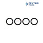 Pentair pool coil sealing o-ring kit for MasterTemp heaters, available at Discount Pool Mart DPM.