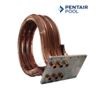Pentair Tube Sheet Coil Assembly For MasterTemp and Max-E-Therm 175 and 200 Heaters | 474058
