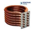 Pentair Tube Sheet Coil Assembly for MasterTemp And Max-E-Therm 400 Heaters | 474061