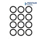 Pentair Pool O-Rings pack by Discount Pool Mart DPM, essential for maintaining pool equipment seals and performance.