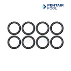 Pentair Tube Sheet Coil Sealing O-Ring Kit For MasterTemp 250 Heaters | 8 Pack | 460749