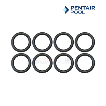 Pentair Pool O-Ring Kit for MasterTemp 250 heaters, 8-pack, by Discount Pool Mart DPM, for secure leak-free seals.