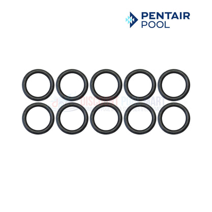 Pentair Tube Sheet Coil Sealing O-Ring Kit For MasterTemp and Max-E-Therm 300 Heaters | 10 Pack | 77707-0118