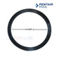 Pentair Pool Union Diamond Seal Gasket 3 3/4 inch from Discount Pool Mart, model 410016Z for WhisperFloXF and IntelliFloXF pumps.