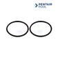 OEM Pentair Union Kit 352210 two black rings for Dynamo Dynatron Pumps from Discount Pool Mart DPM.