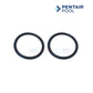 Pentair Union Kit O-rings for WhisperfloXF and IntelliFloXF Pumps | Discount Pool Mart DPM | Model 410020