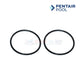 Pentair unions for IntelliChlor 520595 from Discount Pool Mart DPM, essential replacement parts for pool sanitization.
