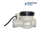 Pentair iChlor 30 Salt Chlorine Generator System 523081 for pools up to 30,000 gallons from Discount Pool Mart DPM.
