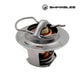 Swimables Thermal Regulator for Pentair MasterTemp and Max-E-Therm heaters, available at Discount Pool Mart DPM.