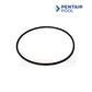 590104Z | Pentair ColorVision Bubbler Light Lens & O-Ring