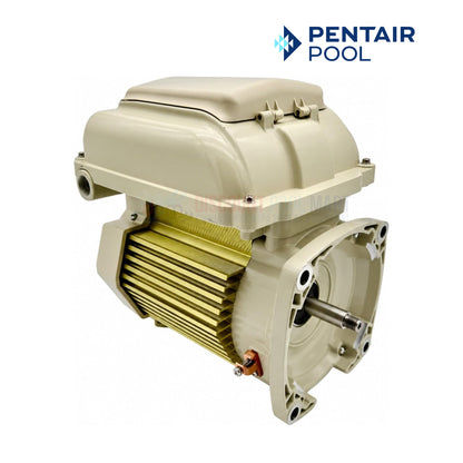 Pentair 356288S Motor & Drive Assembly for SuperFlo VS/VST - Almond | 356288S