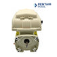 Pentair 356288S Motor & Drive Assembly for SuperFlo VS/VST - Almond | 356288S