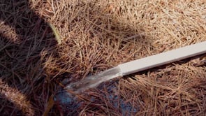 Water flowing from a white pipe onto brown pine needles, illustrating irrigation or drainage in a natural setting.