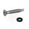 Pentair Pilot Screw with Washer | 619355