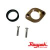 Raypak Gas-Fired Inlet & Outlet Flange Brass 1-1/2" and 2" | 013812F