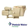 Pentair WhisperFlo   Single Speed Premium Pump 1HP | EC-015583