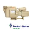 Pentair WhisperFlo   Single Speed Premium Pump 1HP | EC-015583