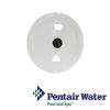 Pentair Sta-Rite U-3 Skimmer Lid with Decal  White|  08650-0058