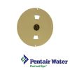 Pentair Sta-Rite U-3 Skimmer Lid with Decal Tan |  08650-0158