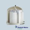 Pentair FNS Plus Vertical Grid  DE  Filter | 180007 | 180008 | 180009