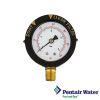 Pentair FNS Plus/Clean & Clear Plus Pool Filter Pressure Gauge with Indicator Bottom | 190058