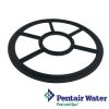 Pentair  HiFlow 2"  Diverter Seal | G-400 | 272409