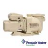 Pentair SuperFlo  Single Speed Premium Pump 1.1HP | EC-348190