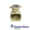 Pentair Superflo Volute Assembly with Strainer Basket , Clamp , Lid and Lid O-Ring  |  353010 