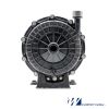 Waterway Pressure Side Pool Cleaner Booster Pump | 3810430-1PDA