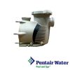 Pentair WhisperFlo And IntelliFlo XF Pumps Wet End Assembly | 400000