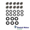 Pentair IntelliFloXF Pumps O-Ring and Hardware Kit | 400030Z