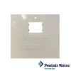 Pentair ETI 400 Gas Heater Control Board Panel | 475610