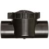 Waterway  Straight Check Valve | 600-7010