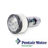 Pentair MicroBrite Color and White LED Light 12V 150' No Niche  | 620426