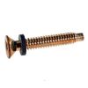 Pentair Pilot Screw with Washer | 79104800