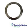 Pentair Amerlite  Face Ring Assembly with Screw | 79110600