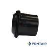 Pentair Swivel Body For Clean & Clear/Predator Filter | 79304600