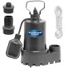 Superior Submersible Water Pump 1/3 HP Cast Iron With Float | 92339