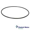 Pentair American Product Ultra Flow Pump  Seal Plate O-Ring  O-240 U9-228A | 300511