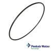 Pentair American Product Ultra Flow Pump  Seal Plate O-Ring  O-240 U9-228A | 300511