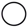 Pentair, Tagelus Sand Filters, Flange O-Ring, 355330