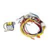 Pentair, Max-E-Therm and MasterTemp Heaters, Wiring Harness, 42001-0104S
