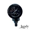 Jandy DEV/DEL DE Pool Filter Pressure Gauge & Air Relief | R0357200