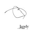 Jandy Lite2 Low NOx Flame Sensor Replacement | R0360900