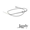 Jandy Lite2 Low NOx Flame Sensor Replacement | R0360900